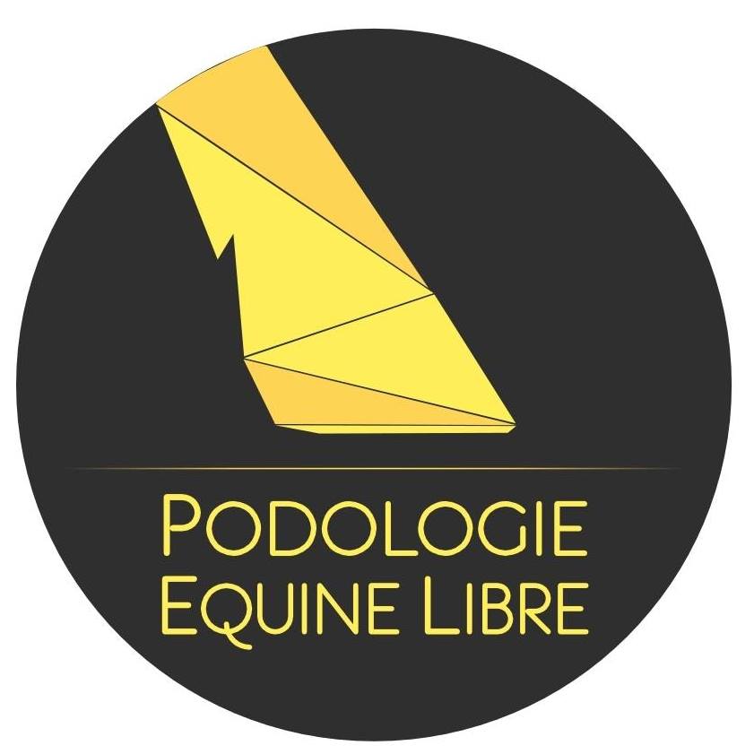Ergyvet est en partenariat avec ppodologie equine libre, site de bien-être du chien