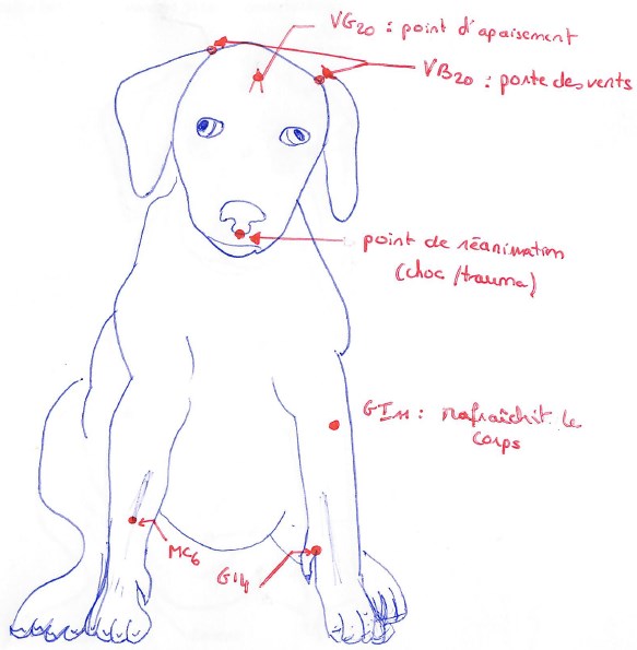 points-acupuncture